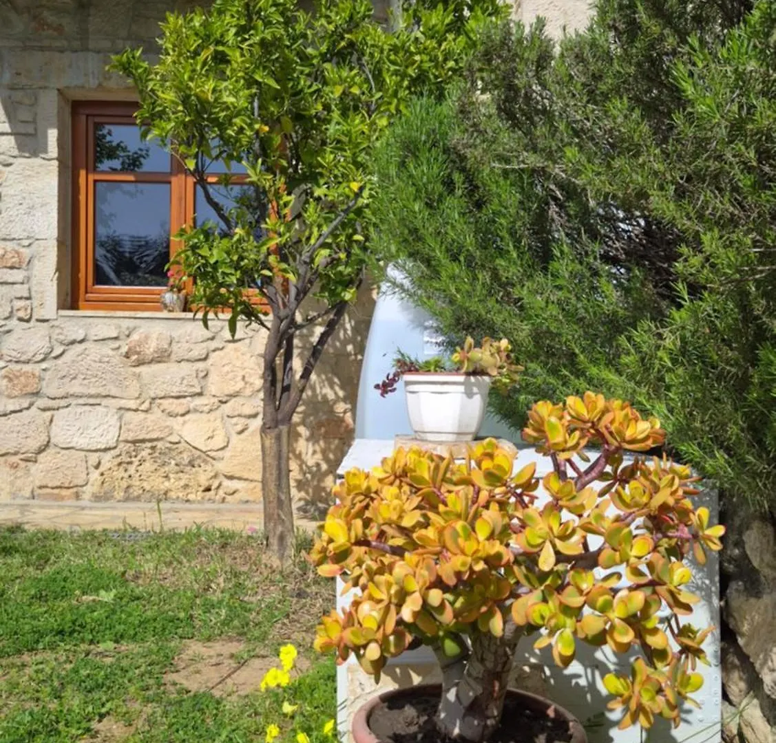 Tatil Evi Alexander Dion House Villa Afytos Yunanistan