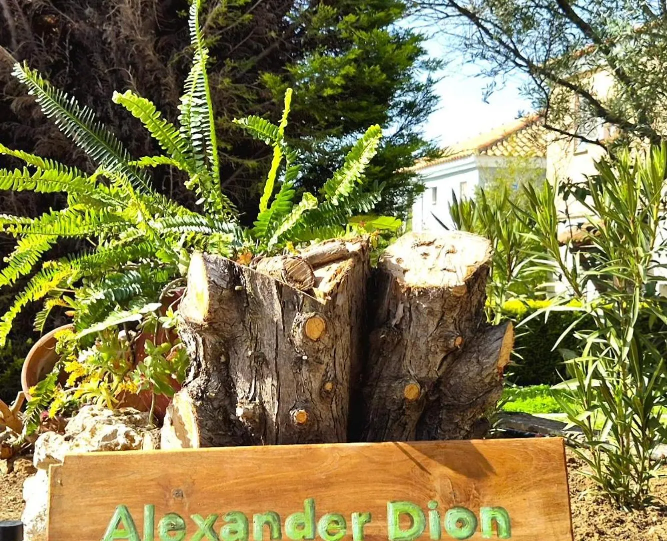 阿菲托斯Alexander Dion House别墅 阿菲托斯